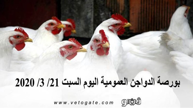 فيتو