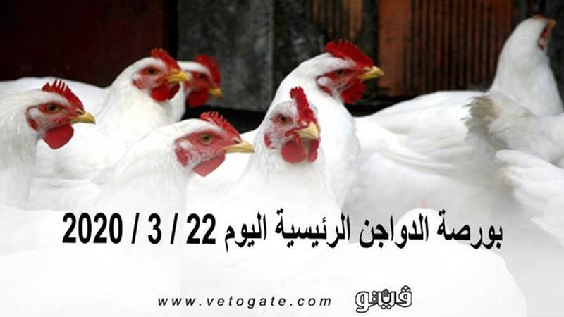 فيتو