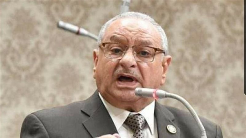 النائب محمد عبد الحكيم