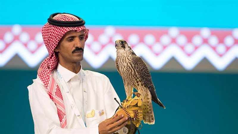 مزاد للصقور في السعودية