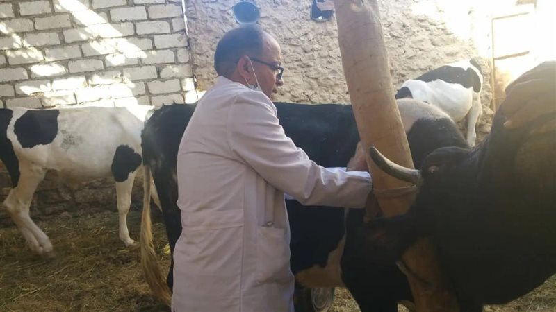 تحصين 112 ألف رأس