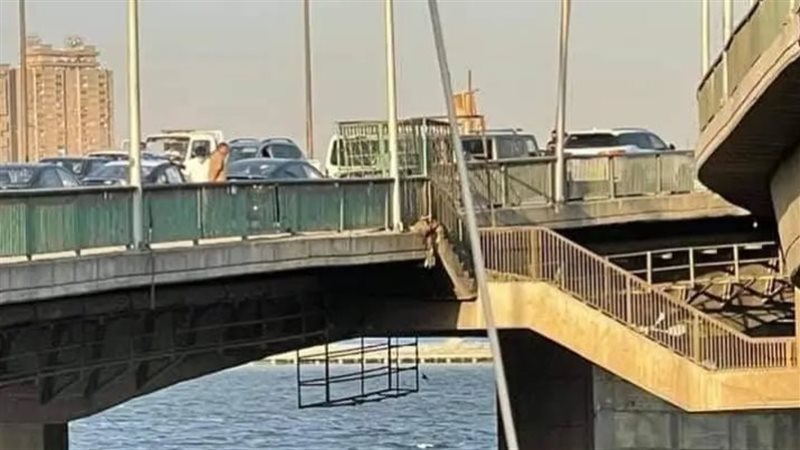 كوبري الساحل