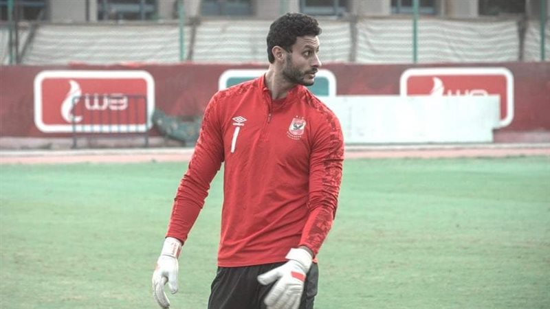 محمد الشناوي