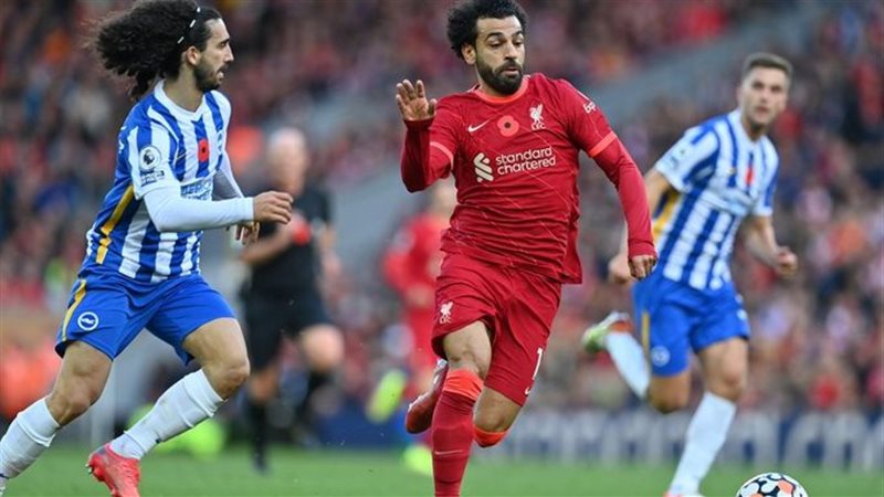 ليفربول وبرايتون