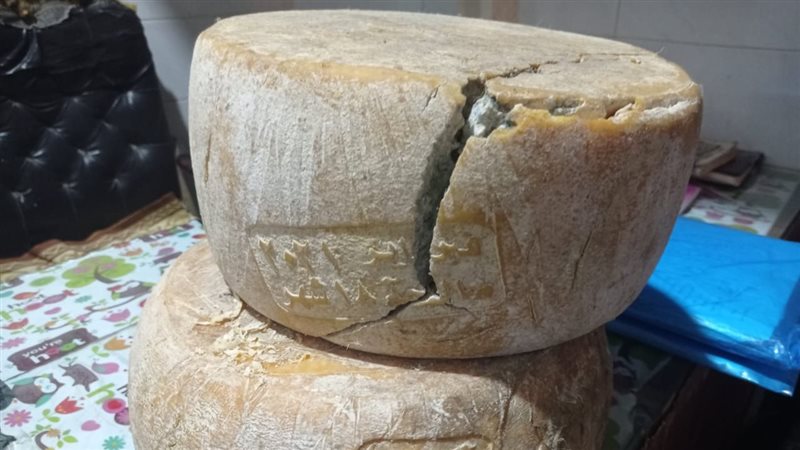  ضبط 10 أطنان جبنة