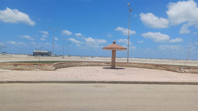شاطىء دمياط، فيتو