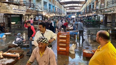 تفسير حلم بائع السمك في المنام وعلاقته بالحصول على مال وفير قريبا 