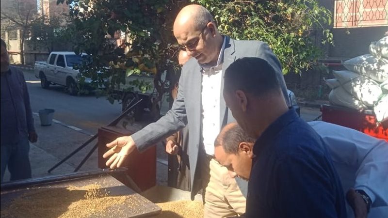 توريد القمح في الصوامع