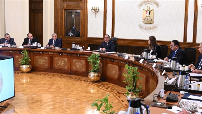 رئيس الوزراء، فيتو
