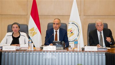 العليا للشواطئ توافق على إنزال وتمديد 3 كابلات اتصالات في المياه الإقليمية المصرية