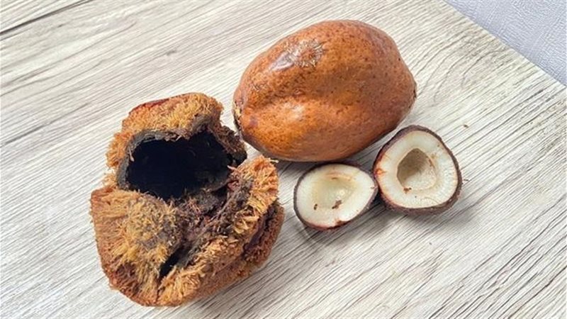 فوائد الدوم، فيتو