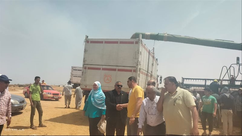 جانب من عمليات حصاد