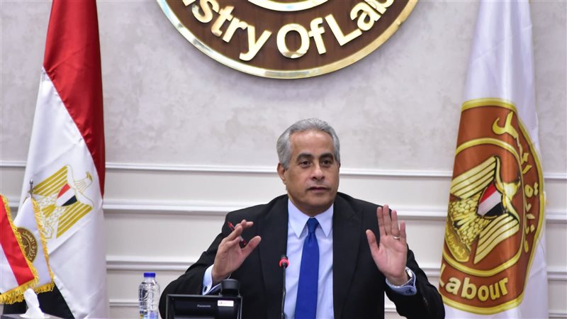 حسن شحاتة وزير العمل،