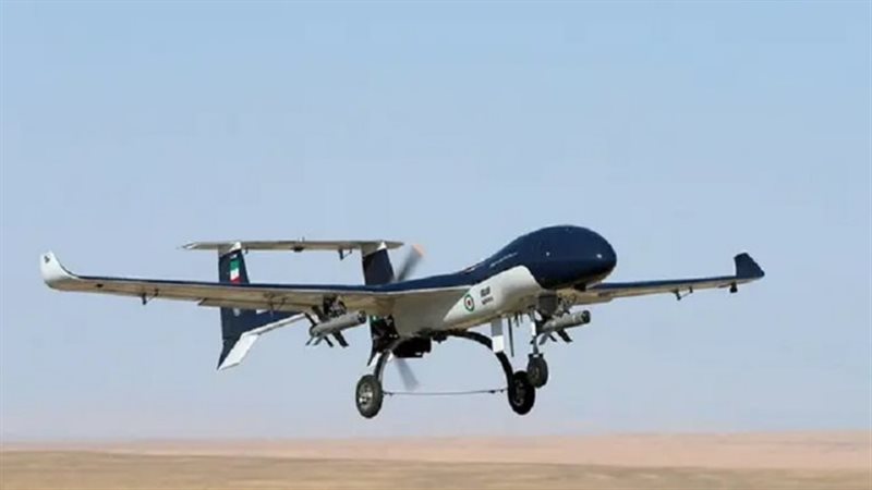 طائرة مسيرة، فيتو