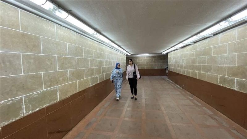 الإسكندرية، فيتو