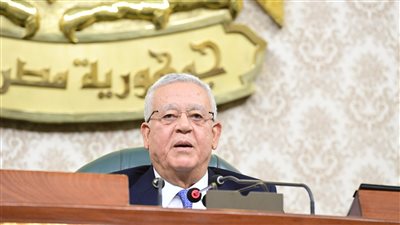 النواب يوافق على منحة للقومي لحقوق الإنسان، ويرفع الجلسة حتى 2 يونيو 