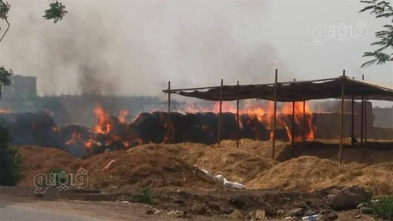 حريق، فيتو