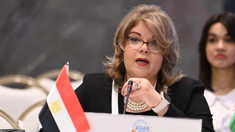 فيبي فوزي وكيل مجلس