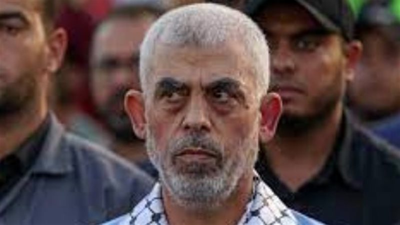 يحيى السنوار، فيتو