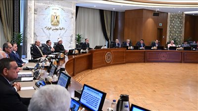 يربط بين المتحف الكبير وهضبة الأهرام، تخصيص أراضي الممشى السياحي للنفع العام 
