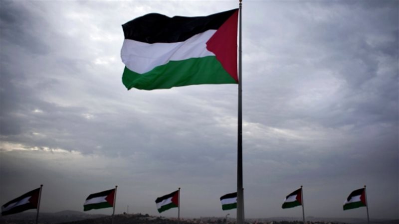 علم فلسطين، فيتو