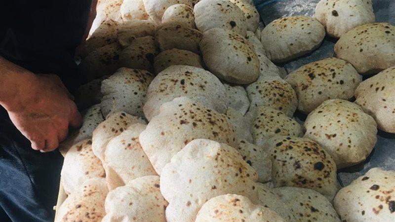 حملات تموينية بالإسماعيلية،