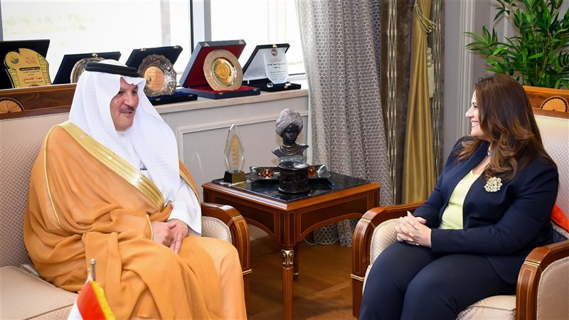 السفيرة سها جندي