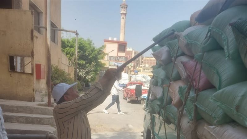 توريد القمح بالبحيرة
