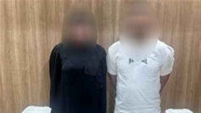 سقوط عناصر إجرامية،