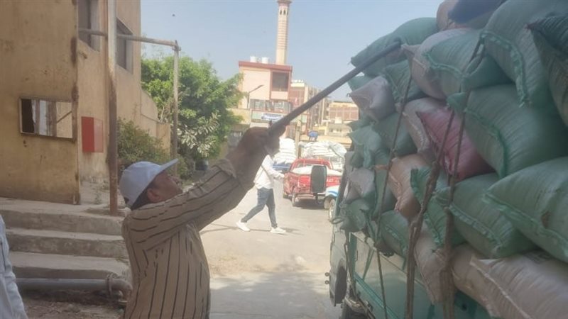 توريد القمح بالبحيرة