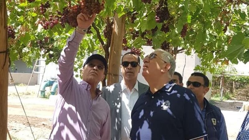 وزير الزراعة يتفقد