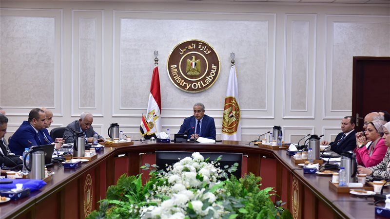 حسن شحاتة وزير العمل،فيتو
