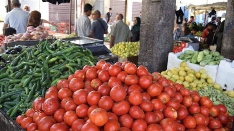 أسعار الخضروات اليوم