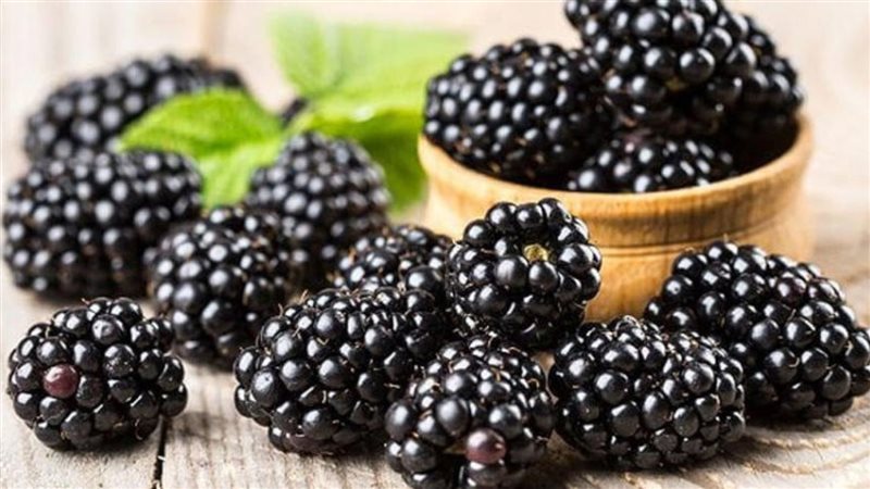 فوائد التوت، فيتو