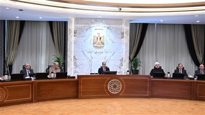 6 قرارات جديدة لمجلس الوزراء في اجتماع الحكومي برئاسة مدبولي 