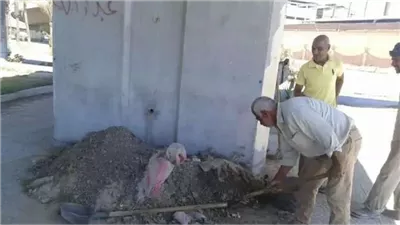 بدء إجراءات صيانة ورفع كفاءة كوبري محرم بك وسط الإسكندرية