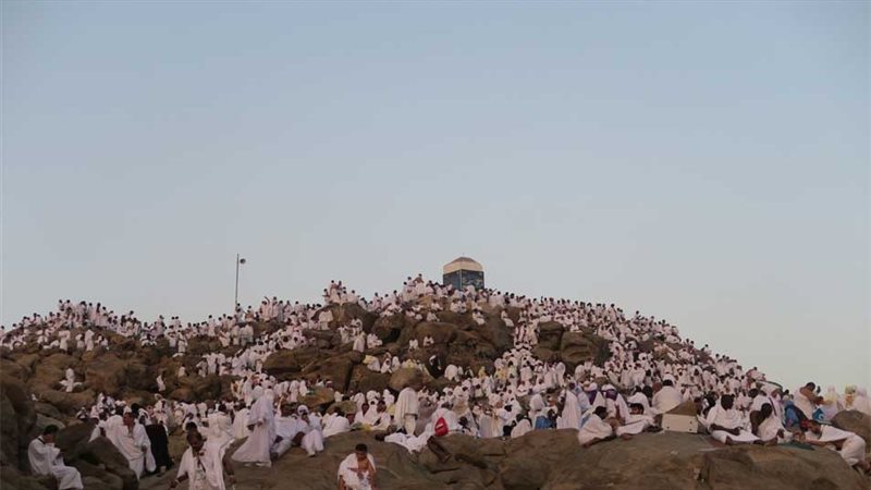 عرفة، فيتو