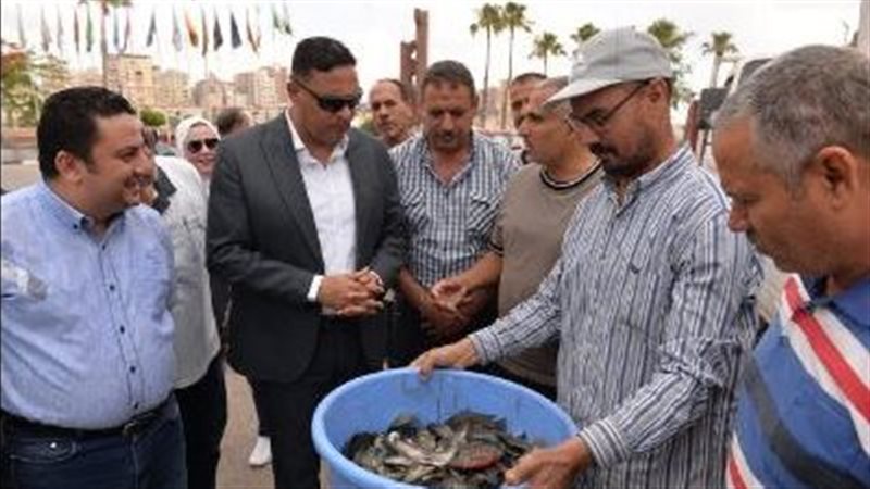 محافظ الدقهلية يتسلم