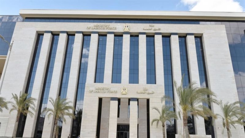 وزارة العمل،فيتو