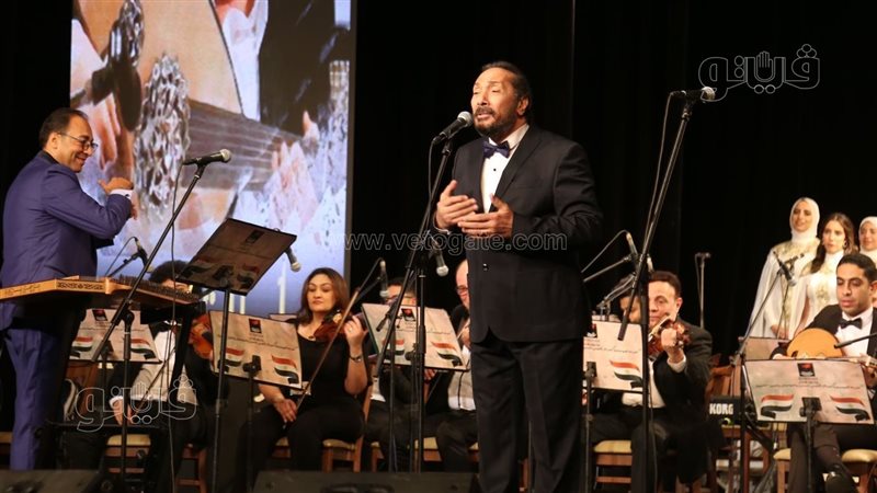 علي الحجار، فيتو