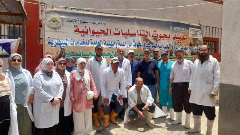 قافلة بيطرية،فيتو