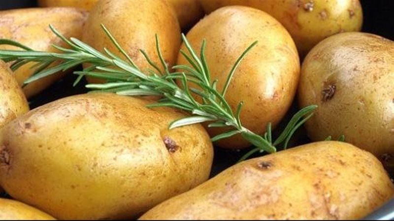 فوائد البطاطس 