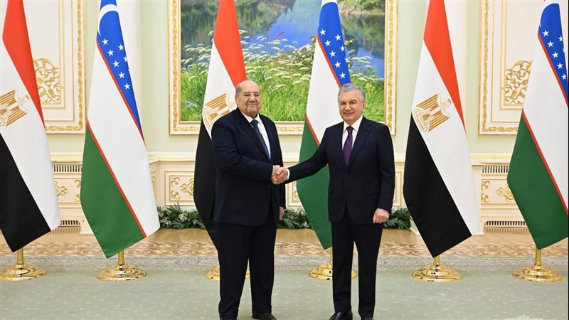 رئيس مجلس الشيوخ