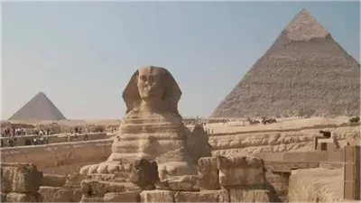 خبير يكشف أسباب زيادة السياحة العائلية العربية في مصر 