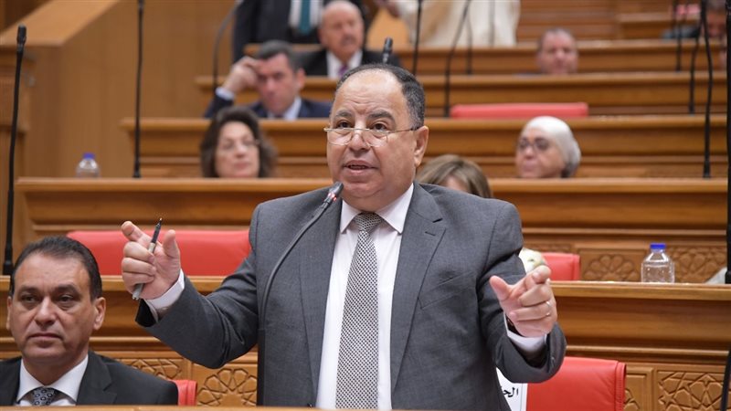 وزير المالية أمام