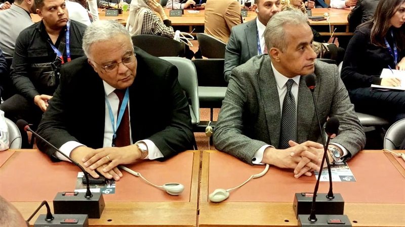 حسن شحاتة وزير العمل،فيتو