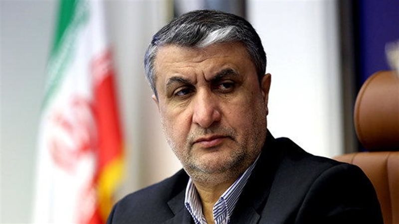  رئيس منظمة الطاقة