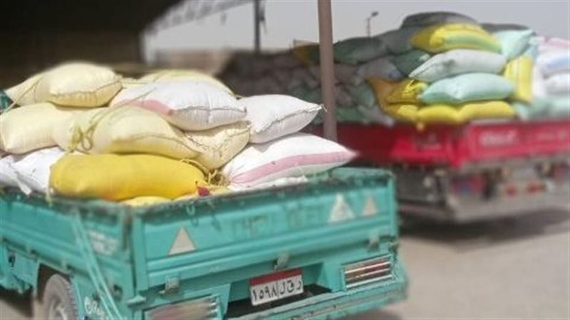 توريد ٦٠٤ آلاف طن