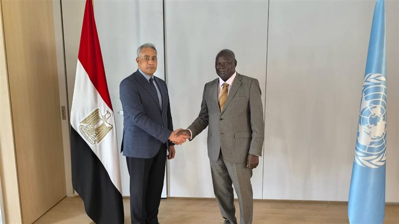 حسن شحاتة وزير العمل