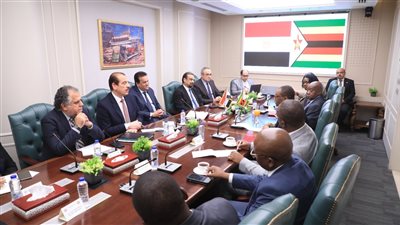وزير الصحة يستقبل نظيره الزيمبابوي لبحث سبل التعاون بين البلدين 
